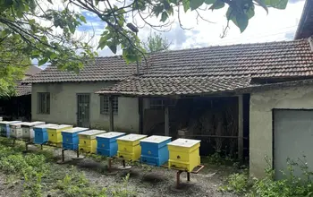 Auction image Factory, Manufacturing