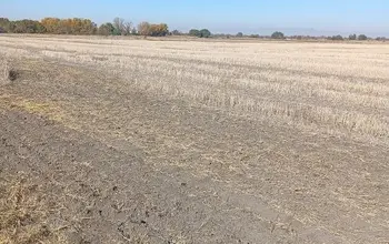 Auction image Земеделска земя/имот, ферма, парник/оранжерия